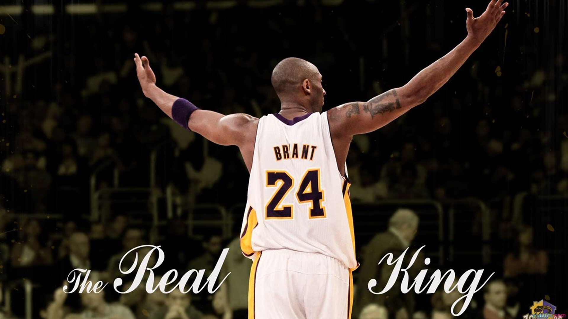 NBA球员赛季表现统计方法,nba球员赛季总得分